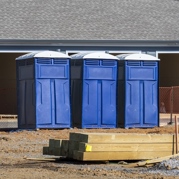 what is the cost difference between standard and deluxe portable toilet rentals in Mineral Bluff GA